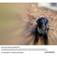 Lensbaby LM-10